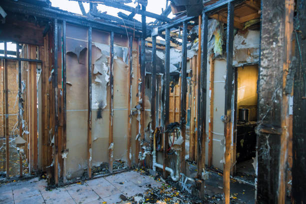 Professional Structural Rebuild technician working in Lewisville, WA